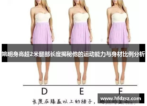 姚明身高超2米腿部长度揭秘他的运动能力与身材比例分析