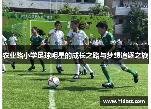 农业路小学足球明星的成长之路与梦想追逐之旅