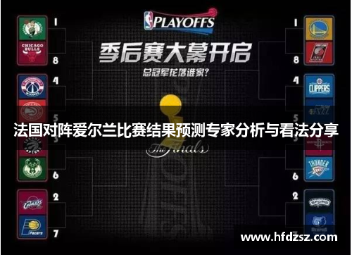 法国对阵爱尔兰比赛结果预测专家分析与看法分享